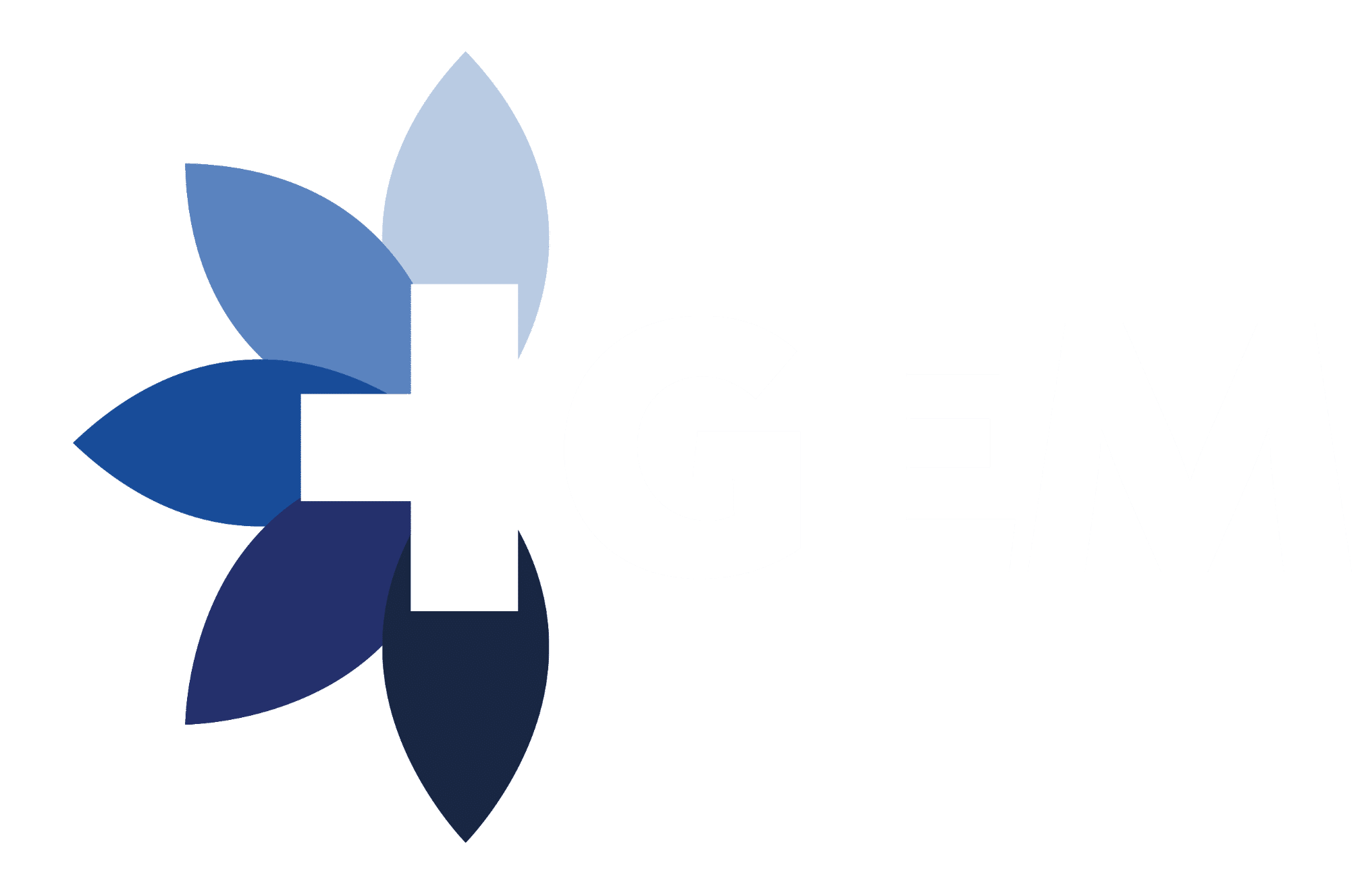 GEM Logo